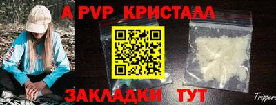 шишки Гусиноозёрск