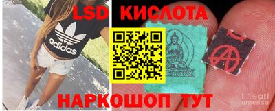шишки Гусиноозёрск