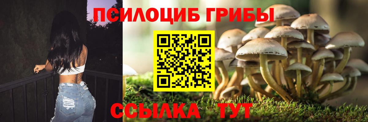 Миасс  Псилоцибиновые грибы Magic Shrooms  Псилоцибиновые грибы Psilocybine cubensis  Вход с VPN 